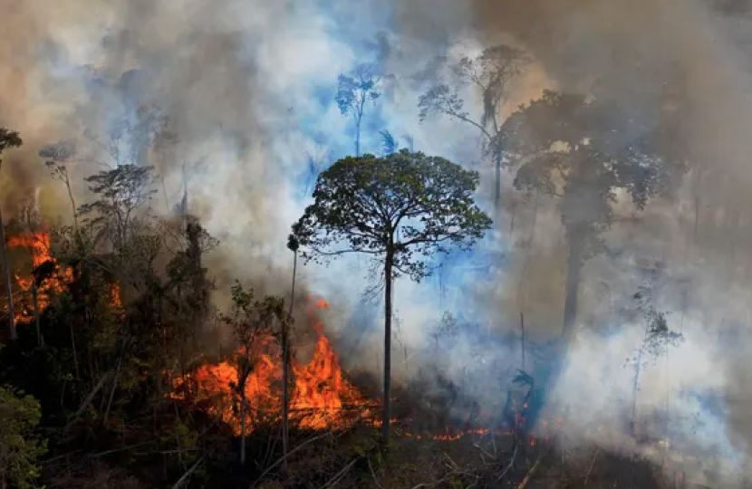 Tackling deforestation