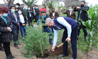 Zac Goldsmith planting Peru's national flower 